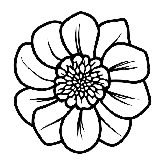 Ilustración simple de flores dibujada a mano