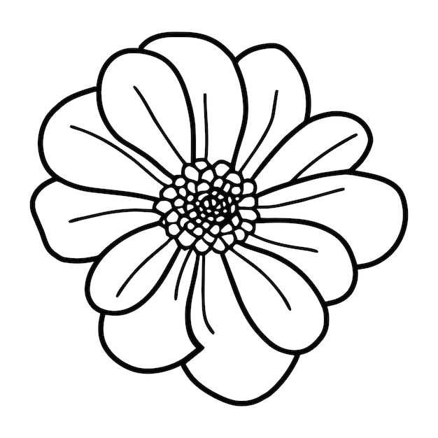 Ilustración simple de flores dibujada a mano