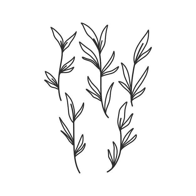 Ilustración simple de fondo blanco aislado de la cordillera
