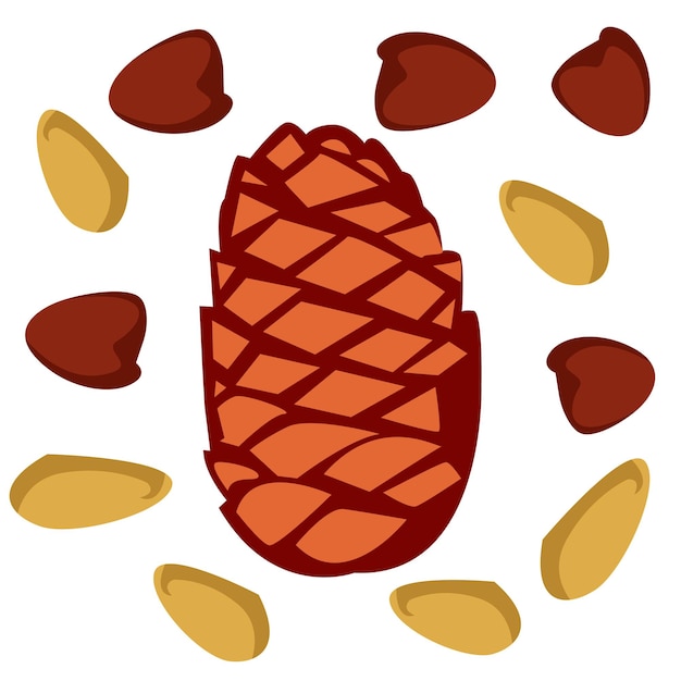 Ilustración simple de las nueces de pino