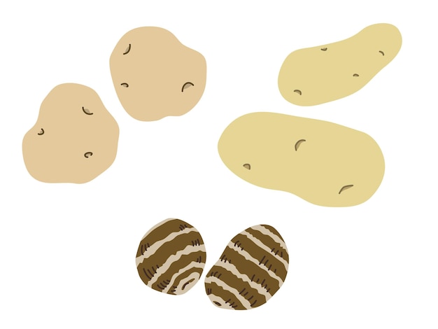 Ilustración simple de la patata y el taro
