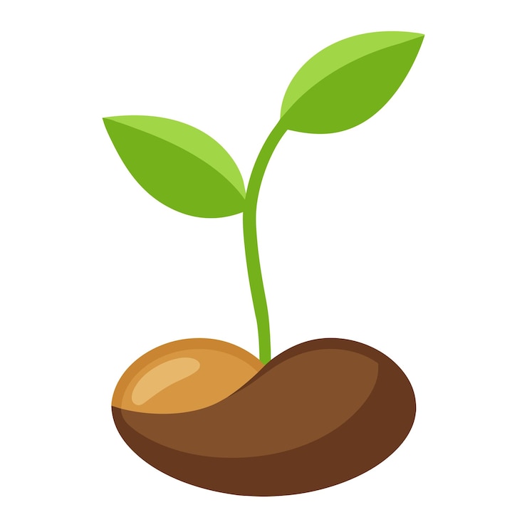 Vector ilustración de una simple semilla germinante aislada