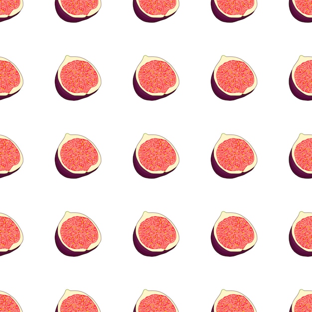 Ilustración sobre el tema gran higo púrpura transparente de color
