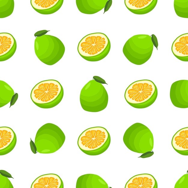 Vector ilustración sobre el tema gran pomelo sin costuras de color