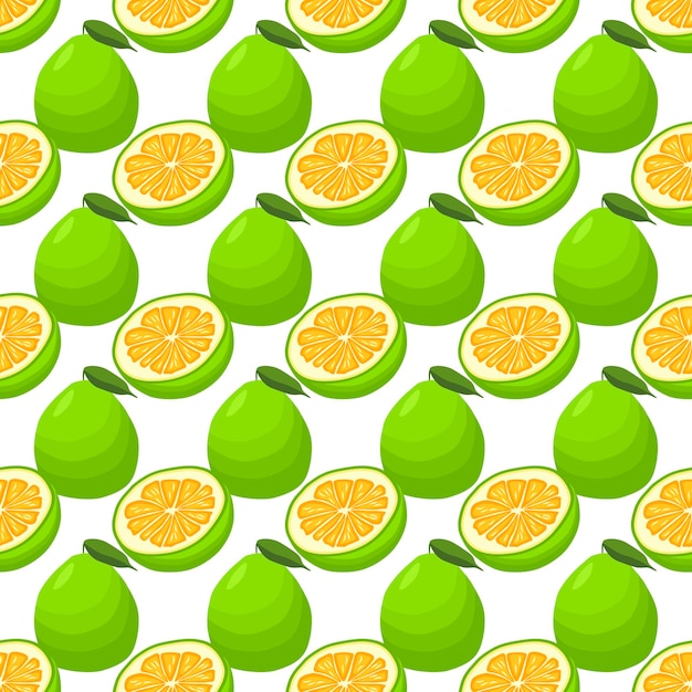 Ilustración sobre el tema gran pomelo sin costuras de color