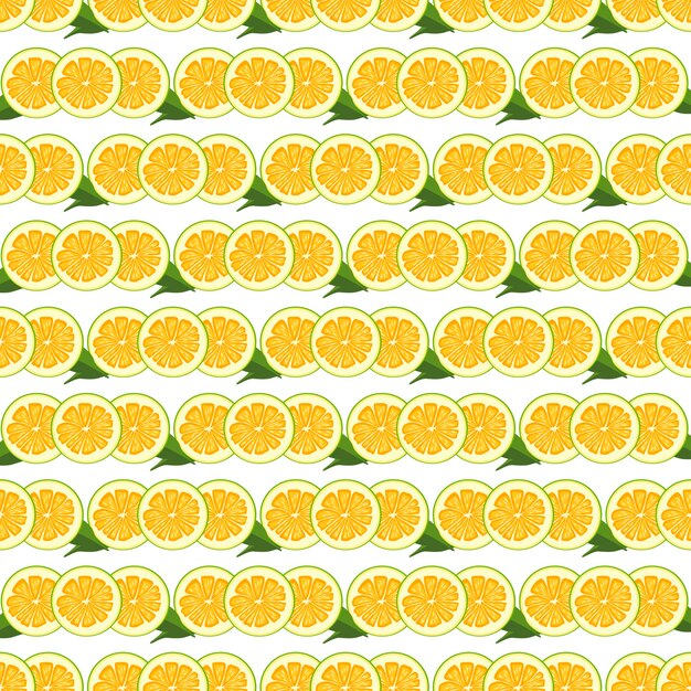 Vector ilustración sobre el tema gran pomelo inconsútil de color