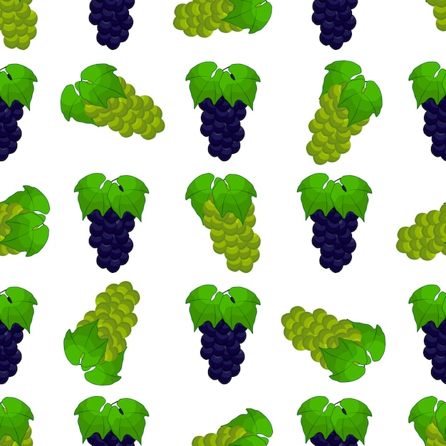 Ilustración sobre el tema uva inconsútil de color grande