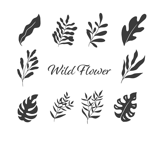 Ilustración de sorteo de mano orgánica de flor silvestre botánica