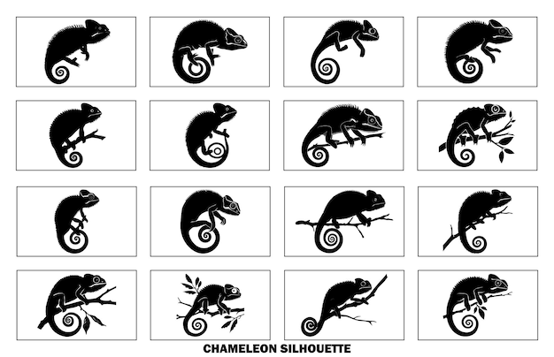 Ilustración de stock de alta calidad de silueta de camaleón