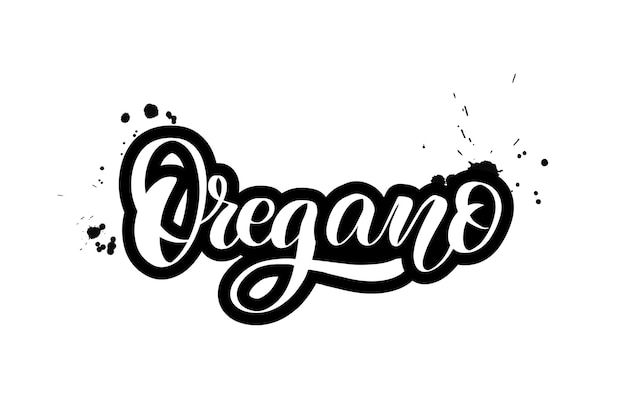 Ilustración de stock de caligrafía vectorial aislada sobre fondo blanco