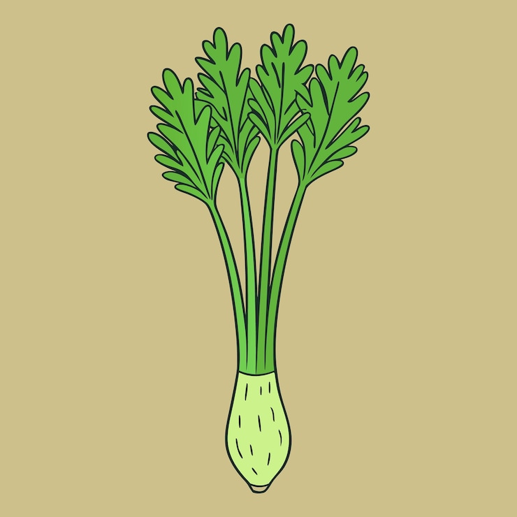 Vector ilustración del tallo y las hojas frescas del apio verde