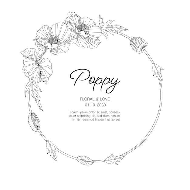 Vector ilustración de tarjeta de felicitación floral amapola dibujada a mano con arte lineal sobre fondos blancos.
