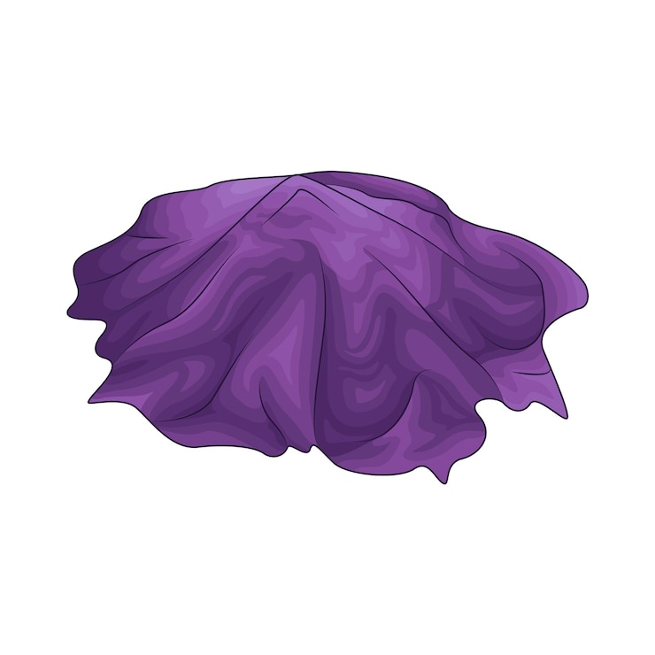 Vector ilustración de taro