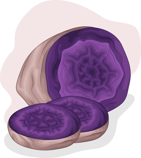 Ilustración de taro