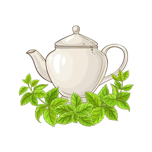 Ilustración del té de Melissa
