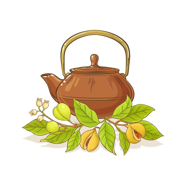Ilustración del té de nuez moscada