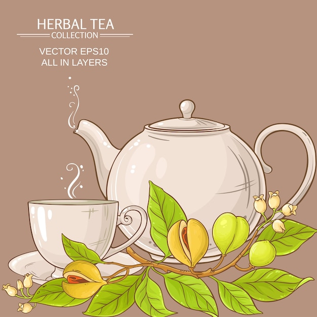 Ilustración de té de nuez moscada
