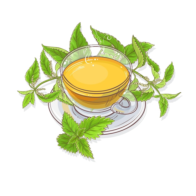 Vector ilustración de té de ortiga