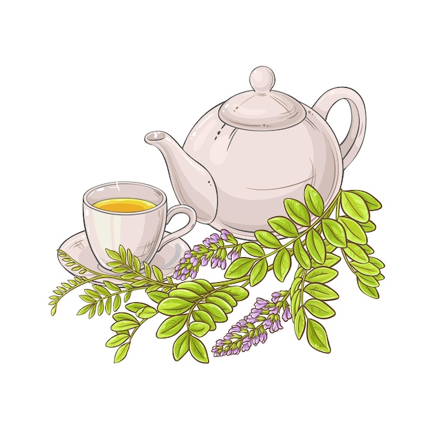 Vector ilustración del té de regaliz