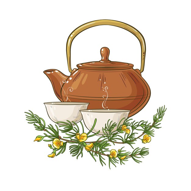 Ilustración del té de rooibos