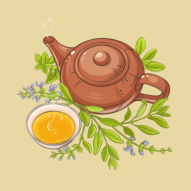 Vector ilustración de té de salvia