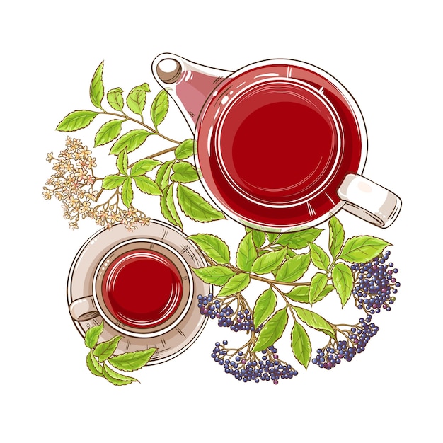 Ilustración del té de saúco