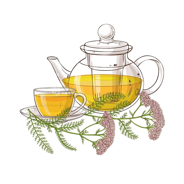 Ilustración del té de yarrow