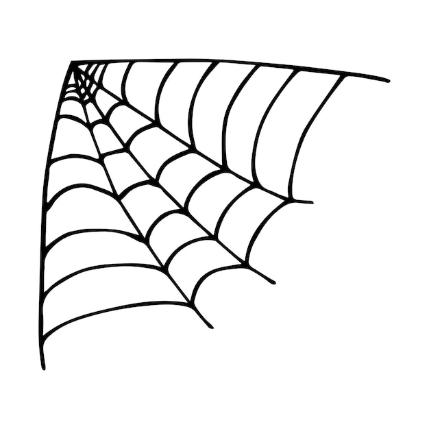 Ilustración de tela de araña dibujada a mano simple Lindo gossamer clipart Doodle de Halloween