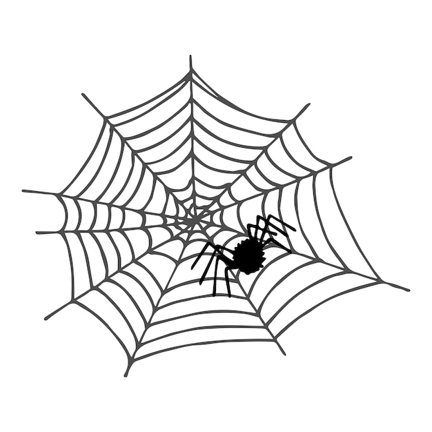 Ilustración de tela de araña dibujada a mano simple Lindo gossamer clipart Doodle de Halloween