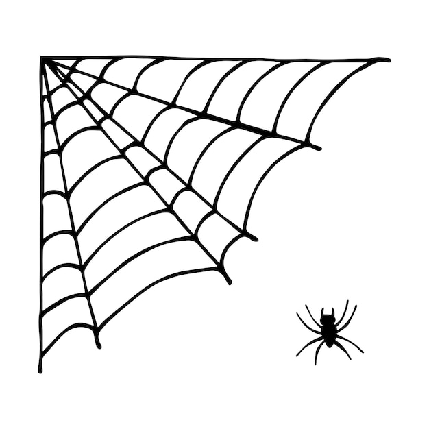 Ilustración de tela de araña dibujada a mano simple Lindo gossamer clipart Doodle de Halloween