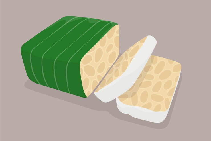 Vector ilustración de tempeh de soja en diseño vectorial