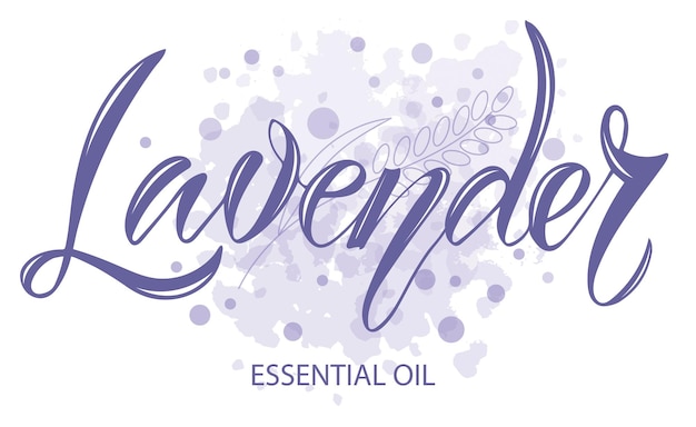 Vector ilustración de texto de aceite esencial de lavanda para el logotipo del envase, el cartel de la etiqueta del banner