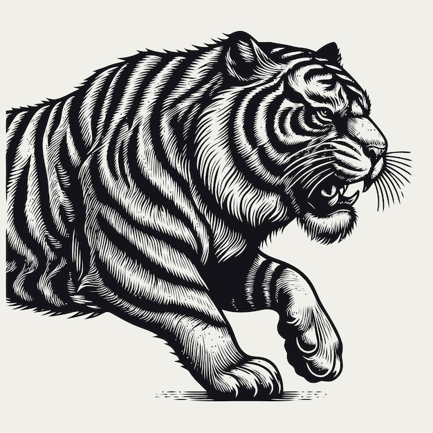 Ilustración de tigre con estilo de grabado