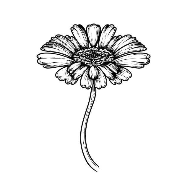 Ilustración de tinta vectorial de una flor