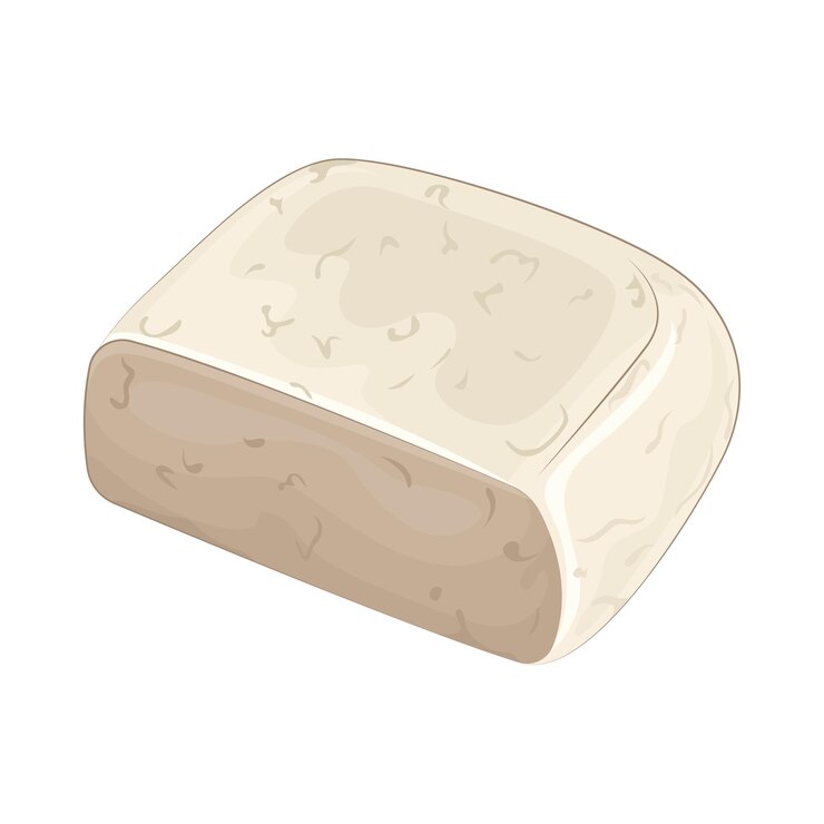 Vector ilustración de tofu
