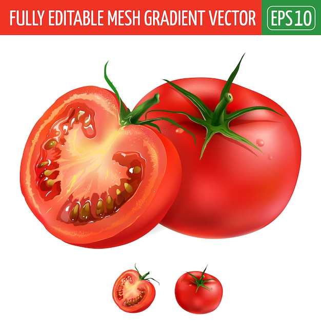 Ilustración de tomate en blanco