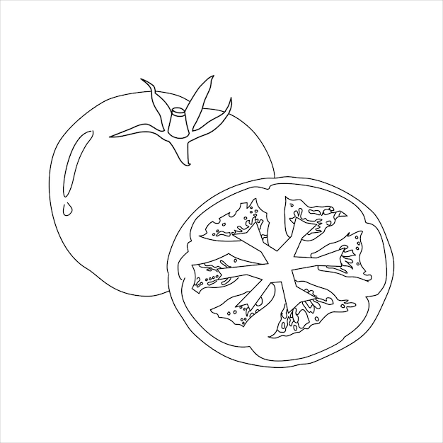 Ilustración de tomate en dibujo en línea aislado en un fondo blanco diseño de elementos de diseño