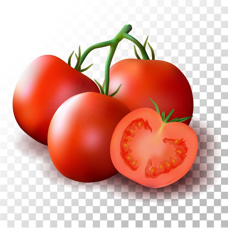 Vector ilustración de tomate realista