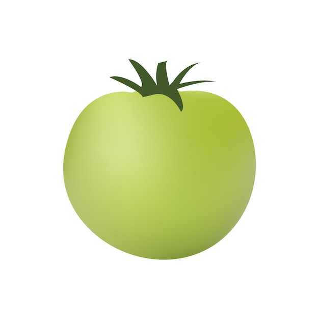 Ilustración de tomate verde sobre fondo blanco