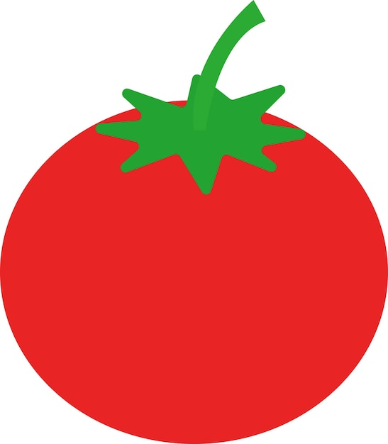 Ilustración de tomate