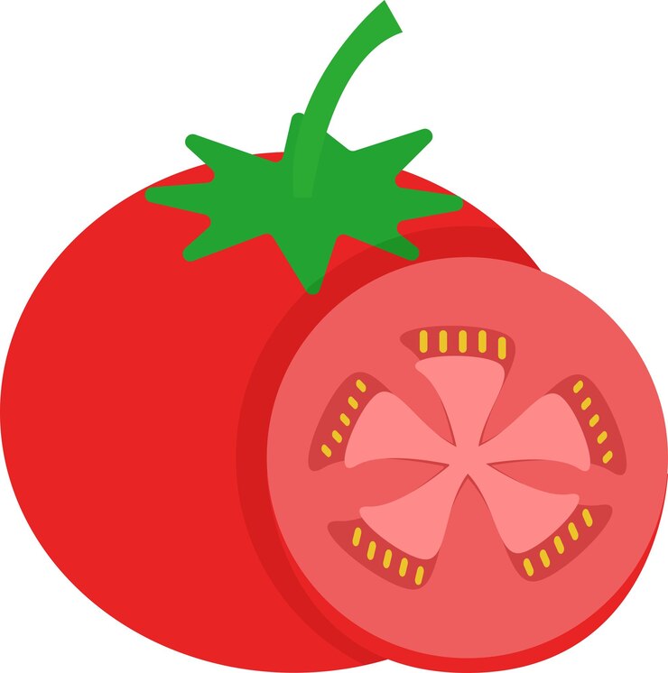 Vector ilustración de tomate