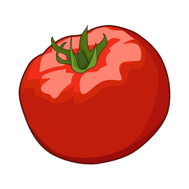 ilustración de tomate