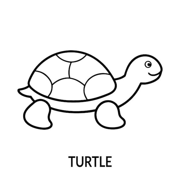 Ilustración de la tortuga de dibujos animados con fines educativos