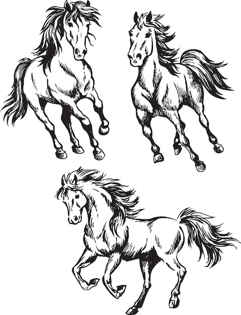 Ilustración de un trío de caballos