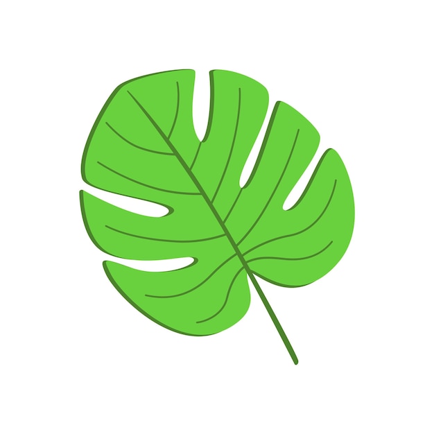 Ilustración tropical de hoja de Monstera Diseño de verano botánico vectorial aislado de planta exótica verde