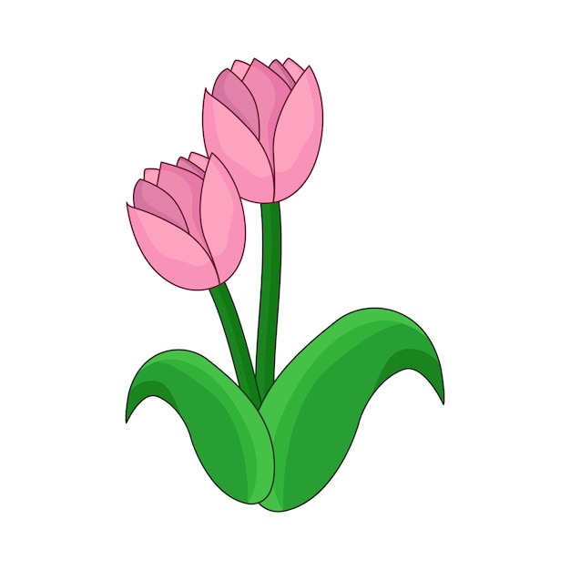 Ilustración de tulipán