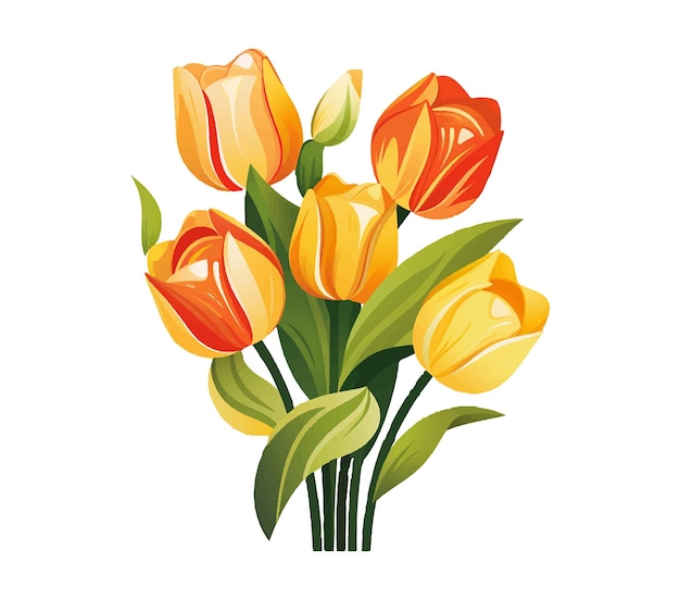 Vector ilustración de tulipán