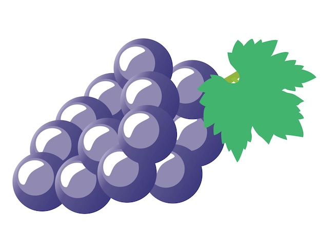 Una ilustración de uva morada