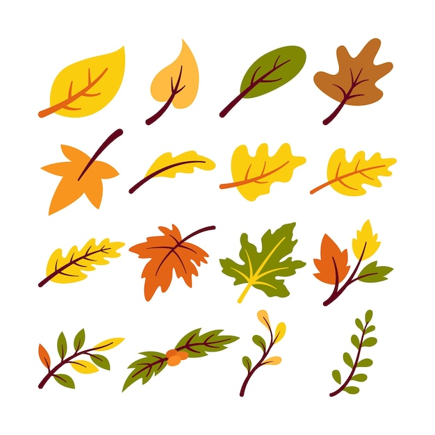 Ilustración de varias ramas y hojas aisladas sobre fondo blanco Elementos para las necesidades de otoño