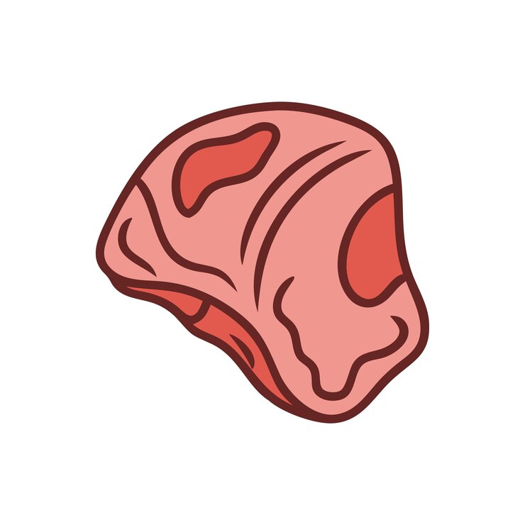 Vector ilustración de varios platos de alimentos frescos y de carne